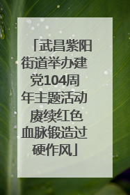 武昌紫阳街道举办建党104周年主题活动 赓续红色血脉锻造过硬作风