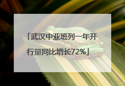 武汉中亚班列一年开行量同比增长72%