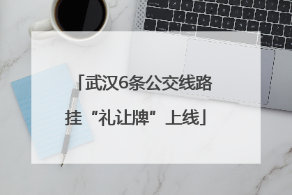 武汉6条公交线路挂“礼让牌”上线