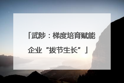 武陟：梯度培育赋能企业“拔节生长”