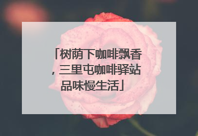 树荫下咖啡飘香，三里屯咖啡驿站品味慢生活