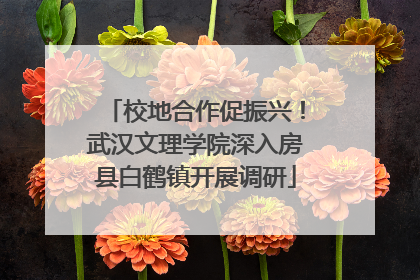 校地合作促振兴！武汉文理学院深入房县白鹤镇开展调研