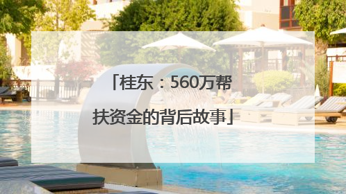 桂东：560万帮扶资金的背后故事