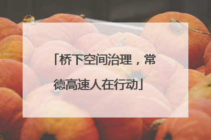 桥下空间治理，常德高速人在行动