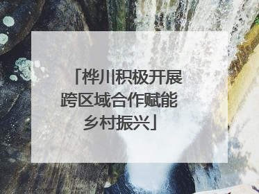 桦川积极开展跨区域合作赋能乡村振兴