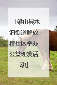 梁山县水泊街道解放桥社区举办公益理发活动