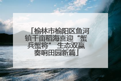 榆林市榆阳区鱼河镇千亩稻海喜迎“蟹兵蟹将” 生态双赢奏响田园新篇