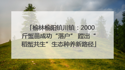 榆林榆阳镇川镇：2000斤蟹苗成功“落户” 蹚出“稻蟹共生”生态种养新路径