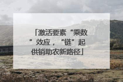 激活要素“乘数”效应，“链”起供销助农新路径