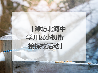 潍坊北海中学开展小初衔接探校活动