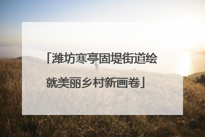 潍坊寒亭固堤街道绘就美丽乡村新画卷