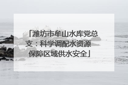 潍坊市牟山水库党总支：科学调配水资源 保障区域供水安全