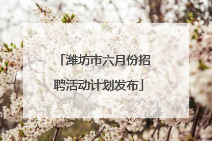 潍坊市六月份招聘活动计划发布