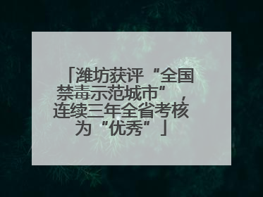 潍坊获评“全国禁毒示范城市”，连续三年全省考核为“优秀”