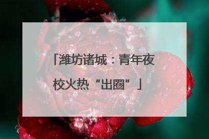 潍坊诸城：青年夜校火热“出圈”