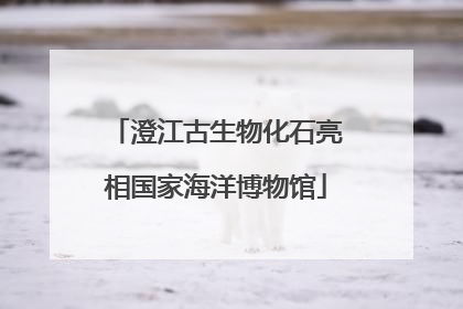 澄江古生物化石亮相国家海洋博物馆