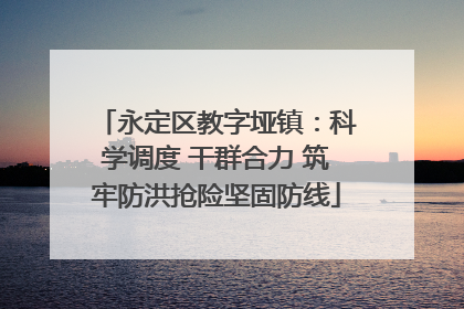 永定区教字垭镇：科学调度 干群合力 筑牢防洪抢险坚固防线
