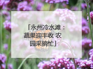 永州冷水滩：蔬果迎丰收 农园采摘忙