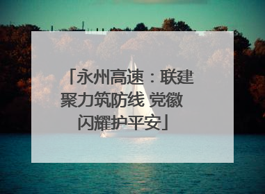永州高速：联建聚力筑防线 党徽闪耀护平安