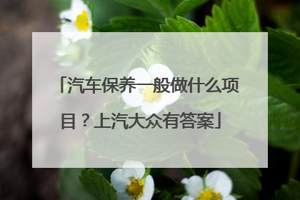 汽车保养一般做什么项目？上汽大众有答案