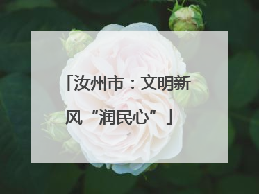 汝州市：文明新风“润民心”