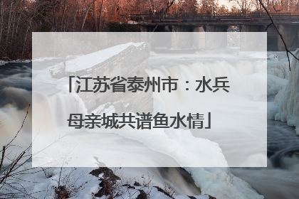 江苏省泰州市：水兵母亲城共谱鱼水情