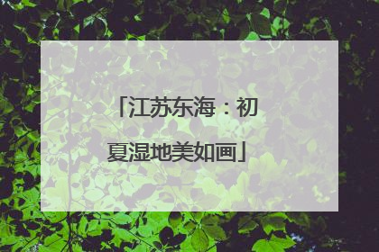 江苏东海：初夏湿地美如画