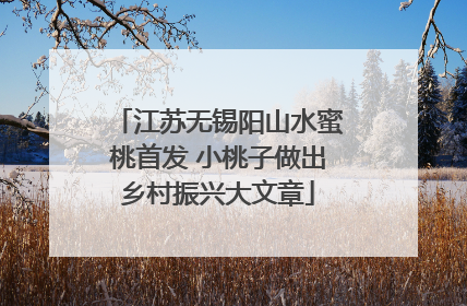 江苏无锡阳山水蜜桃首发 小桃子做出乡村振兴大文章