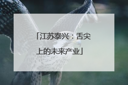 江苏泰兴：舌尖上的未来产业