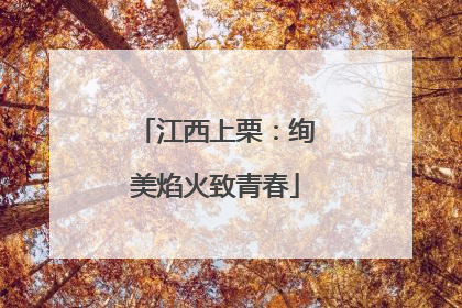 江西上栗：绚美焰火致青春