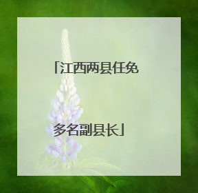 江西两县任免多名副县长