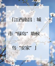 江西南昌：城市“绿岛”助候鸟“安家”