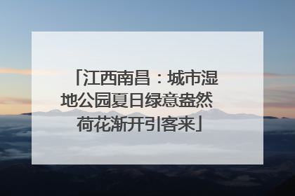 江西南昌：城市湿地公园夏日绿意盎然 荷花渐开引客来