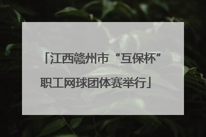 江西赣州市“互保杯”职工网球团体赛举行