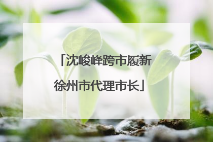 沈峻峰跨市履新徐州市代理市长