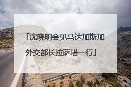 沈晓明会见马达加斯加外交部长拉萨塔一行