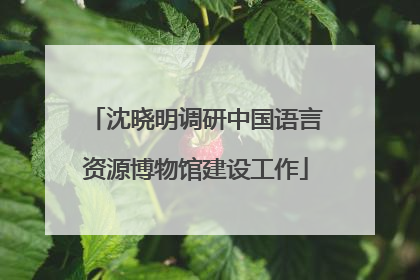 沈晓明调研中国语言资源博物馆建设工作