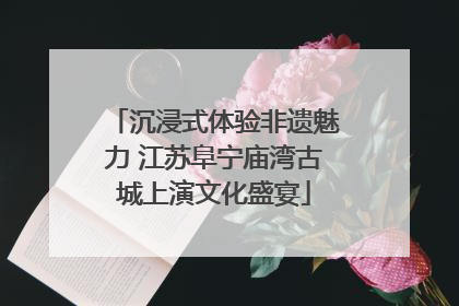 沉浸式体验非遗魅力 江苏阜宁庙湾古城上演文化盛宴