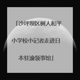 沙坪坝区树人和平小学校小记者走进日本驻渝领事馆