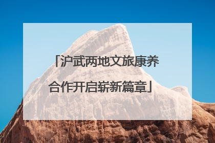 沪武两地文旅康养合作开启崭新篇章