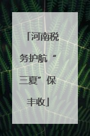 河南税务护航“三夏”保丰收