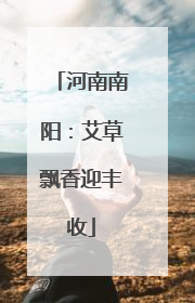 河南南阳：艾草飘香迎丰收
