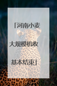 河南小麦大规模机收基本结束