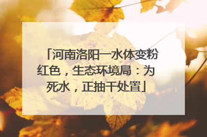 河南洛阳一水体变粉红色，生态环境局：为死水，正抽干处置