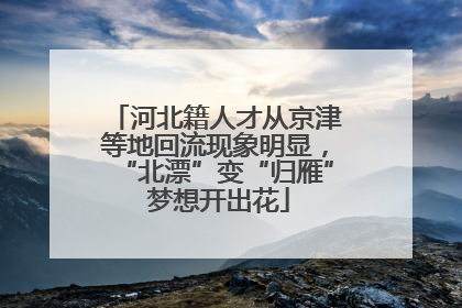 河北籍人才从京津等地回流现象明显，“北漂”变“归雁” 梦想开出花