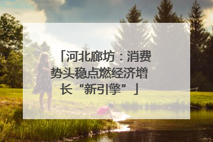 河北廊坊：消费势头稳点燃经济增长“新引擎”