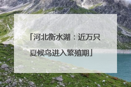 河北衡水湖：近万只夏候鸟进入繁殖期
