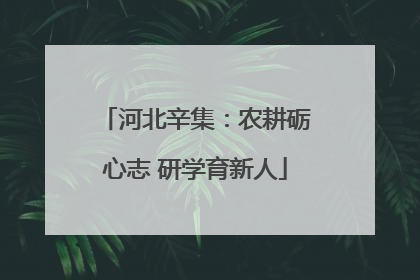 河北辛集：农耕砺心志 研学育新人