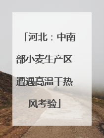 河北：中南部小麦生产区遭遇高温干热风考验