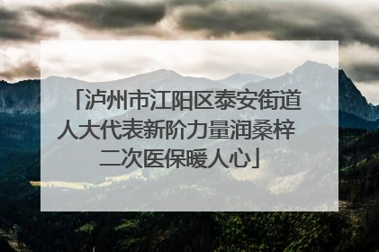 泸州市江阳区泰安街道人大代表新阶力量润桑梓 二次医保暖人心